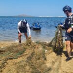 Maleza, plagas y abandono: la lamentable situación de los jardines de la Avenida del Cantón