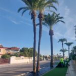 La Vuelta Ciclista a España visitó La Manga en 1966, 1977 y 1980 para promocionarla