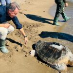 El FC Cartagena se toma otra ronda en la Copa del Rey al vencer en Puente Genil (0-1)