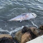 La Manga del Mar Menor verá subir su recibo de basuras por la nueva ley estatal de residuos