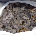 Cabo de Palos, epicentro del turismo azul que la Región de Murcia exhibe en el congreso ‘Sun&Blue’ de Almería