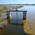 El Encendido de la Navidad 2025 en Cartagena, el 5 de diciembre con un gran espectáculo de drones