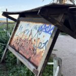 El proyecto RemediOS-2 refuerza la alianza entre administraciones, ciencia y sector salinero para recuperar el Mar Menor con ostra plana nativa