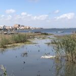 1975 | Fernando Suárez se retira a La Manga por prescripción médica para unos días de descanso