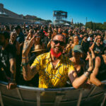 PROCABO pide al Ayuntamiento de Cartagena que deje de retirar los arribazones de posidonia con maquinaria pesada en las playas