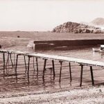 28 de abril de 1914 | Un cadáver sin identificar y una ballena putrefacta conmocionan Cabo de Palos