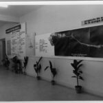 1962 | El ambicioso proyecto de La Manga promete una ciudad turística para 32.000 habitantes en 15 años