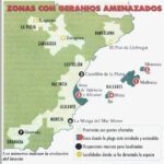 Vuelven los problemas: semáforos apagados en El Zoco (La Manga)