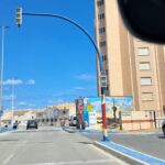 1994: Un informe científico anuncia que el geranio se encuentra amenazado en La Manga