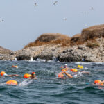 Instalados 61 fondeaderos ecológicos en las islas del Mar Menor para ordenar el uso náutico y proteger el fondo