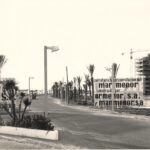 Hallan restos animales en descomposición en la Playa del Banco del Tabal de La Manga