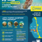 El Cross de Cabo de Palos entrega 3.000 euros a proyectos solidarios antes de su celebración este sábado