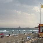 Nuevo nido de tortuga boba en Calblanque: localizan 92 huevos protegidos en la playa del Parque Regional