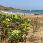 Balizan unos 60 metros de la playa Galúa y Pedrucho Sur de La Manga por fuertes corrientes y se prohíbe el baño