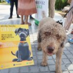 Decenas de embarcaciones y motos de agua provocan numerosas llamadas al 112 por carreras y molestias en el Mar Menor