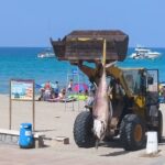 Mangueros entre dos mares: el orgullo de vivir donde el Mar Menor y el Mar Mayor se encuentran