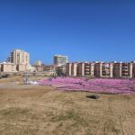 Cabo de Palos: Ciento veinte años del hundimiento del Sirio (IV parte)