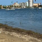 Del veraneo de la burguesía a las procesiones: así era Cabo de Palos entre 1935 y 1944