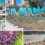 La Junta Municipal de Los Belones aprueba varias iniciativas centradas en Los Nietos