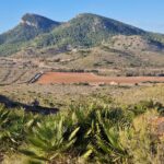 Una moción pone el foco en el grave deterioro de las pinturas del Monte Miral