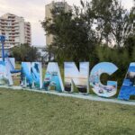VOX reclama un plan de choque contra el avispón oriental para proteger el trabajo de los apicultores